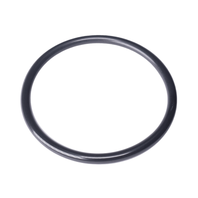 O-Ring 32X250 5205531-01