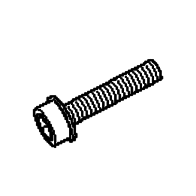 Skrue M5*27 T27 525755204 5257552-04