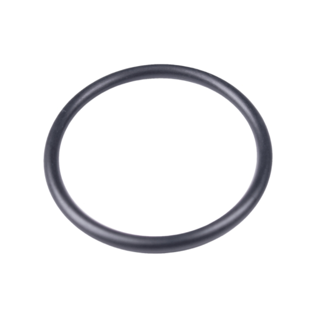 O Ring 5784711-01