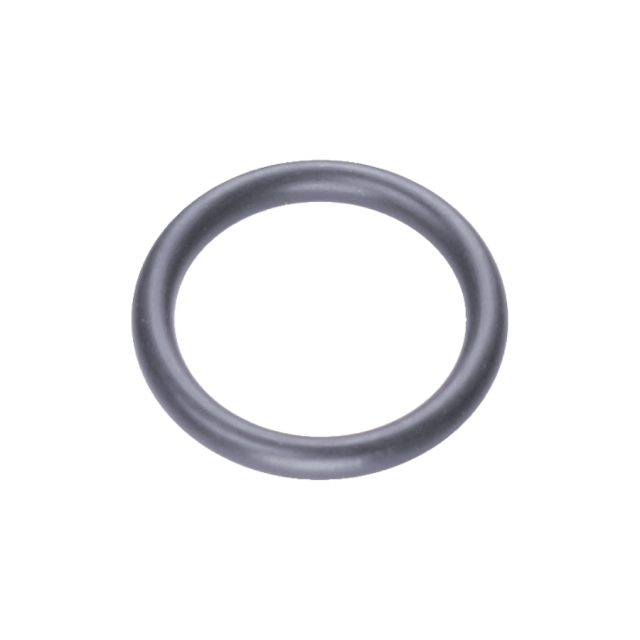 O Ring 5787605-01