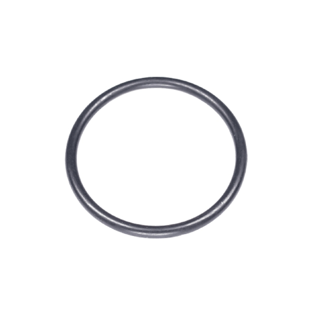 O Ring 5787649-01