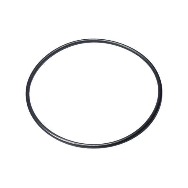O Ring 5806705-01