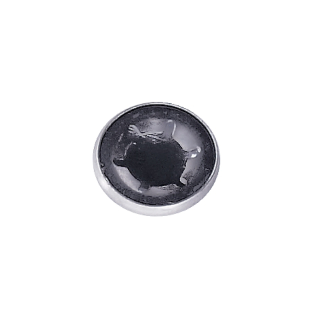Clips 5828572-01
