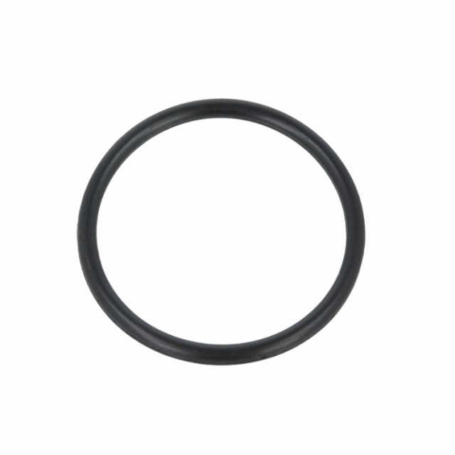 O Ring 5879439-01