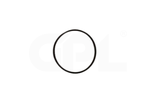 O Ring 5888488-01