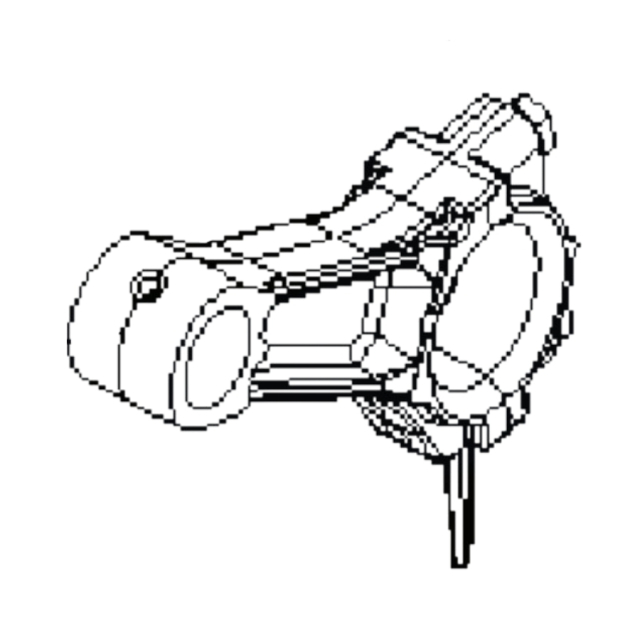 Arm
