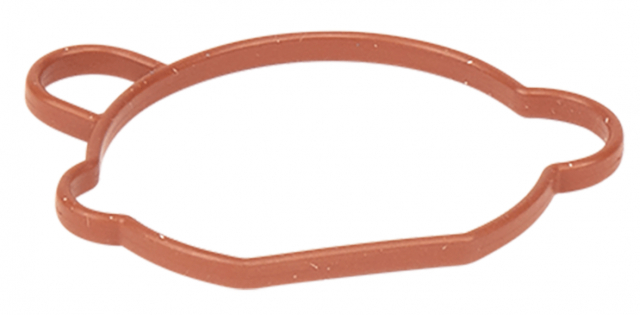 Pakning karburatorer