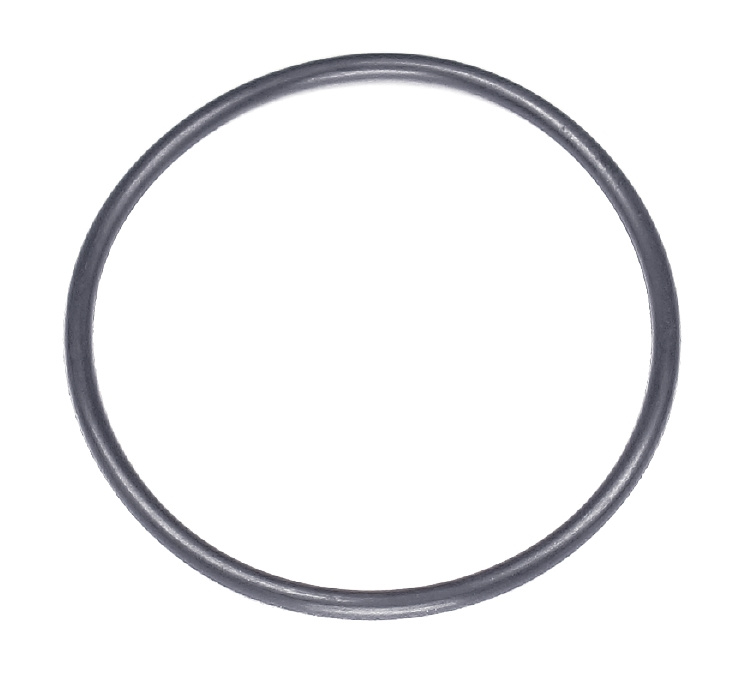 O-Ring 489X262