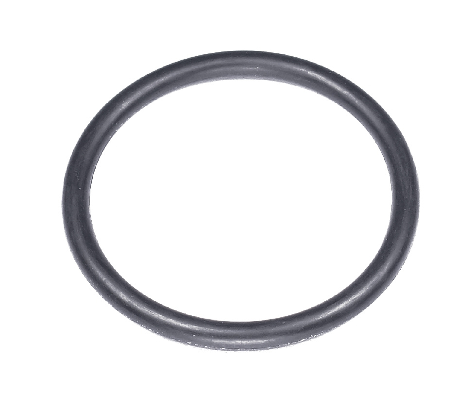 O-Ring 534X51