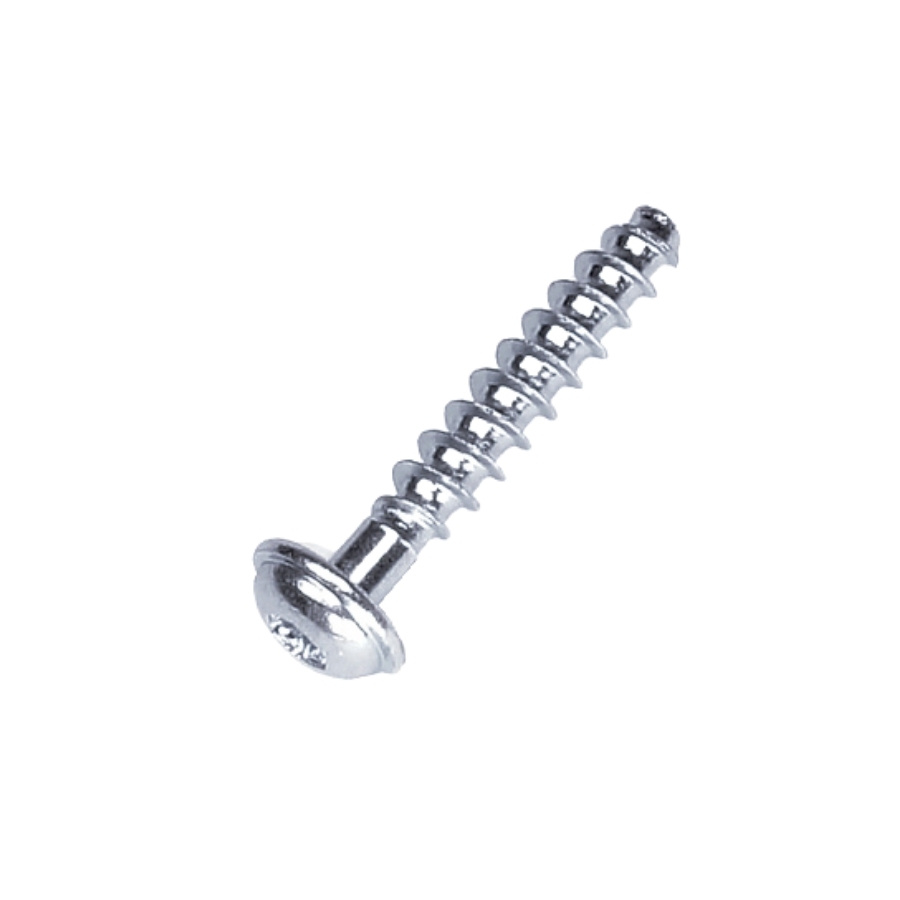 Skru T50X28 5205247-01