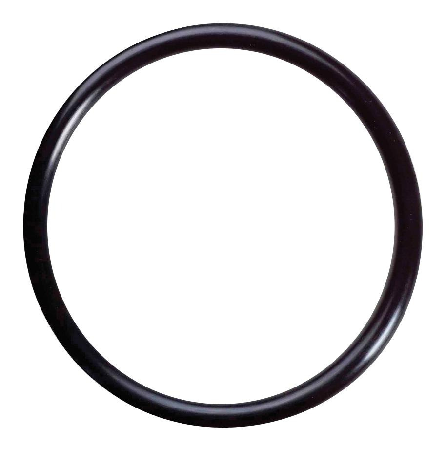 O Ring 5310078-47