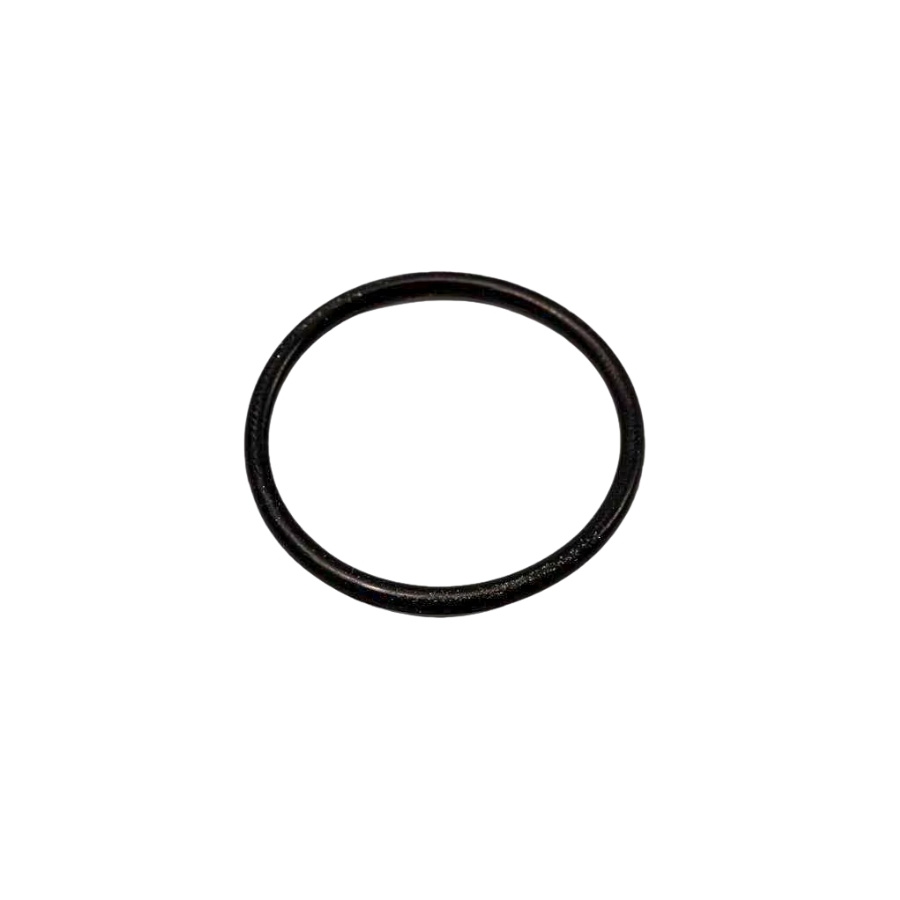 O Ring 5310296-58
