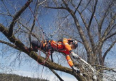 Husqvarna Arborist Klatresele 5340986-01 Husqvarna Arborist Klatresele 5340986-01