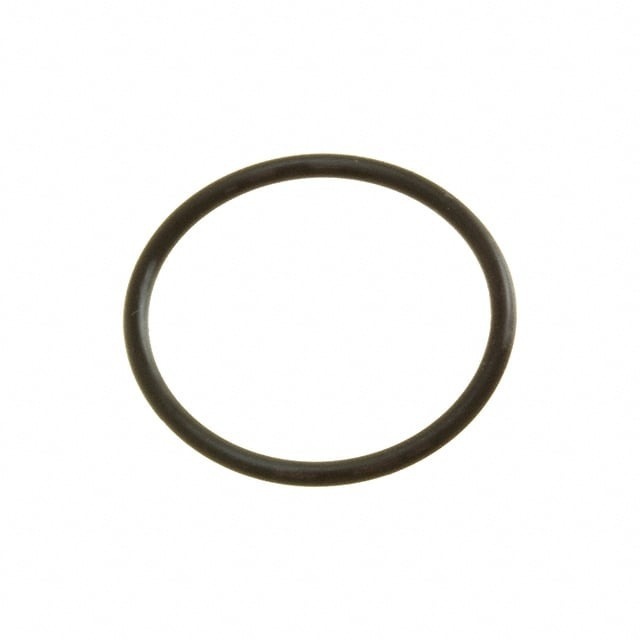 O Ring 5371207-01