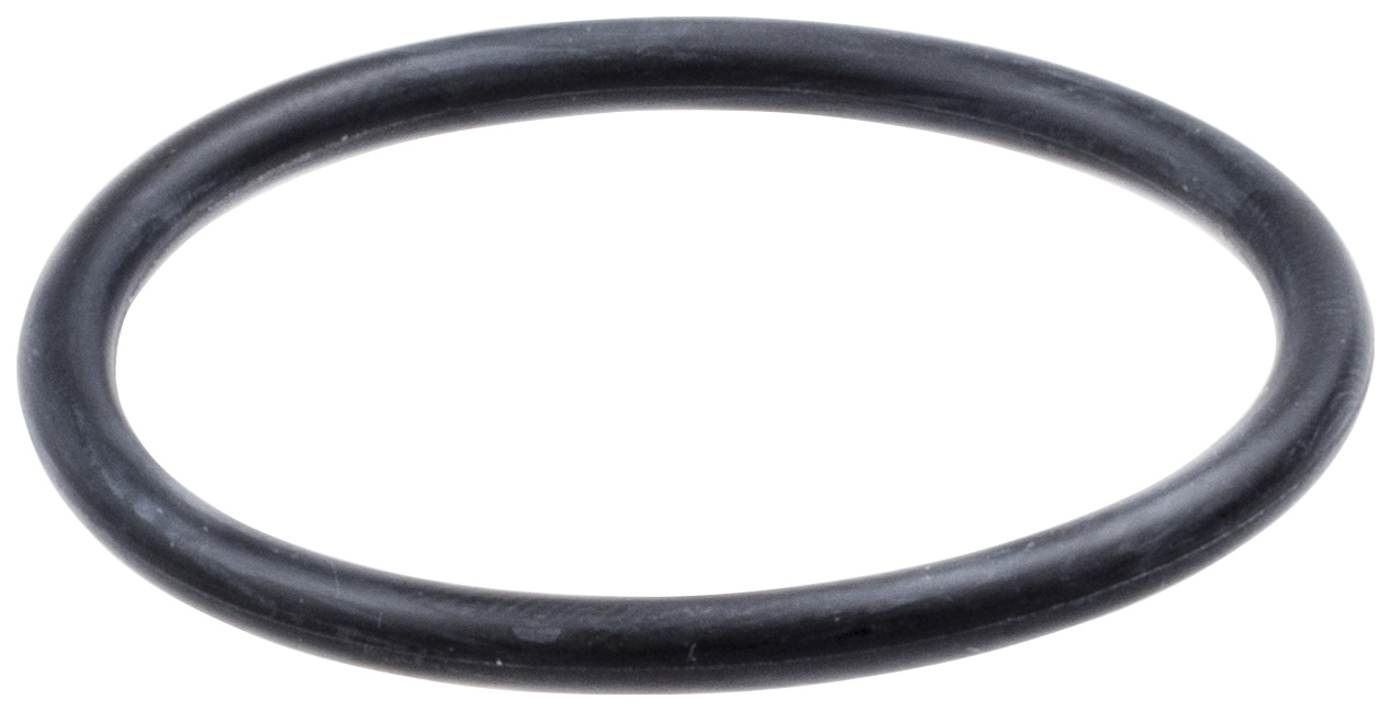 O-ring