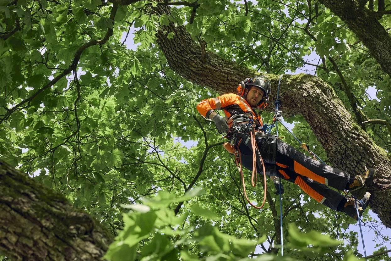 Husqvarna skærebukser, Technical Extreme Arborist