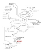 Bæltestrammer Bæltestrammer