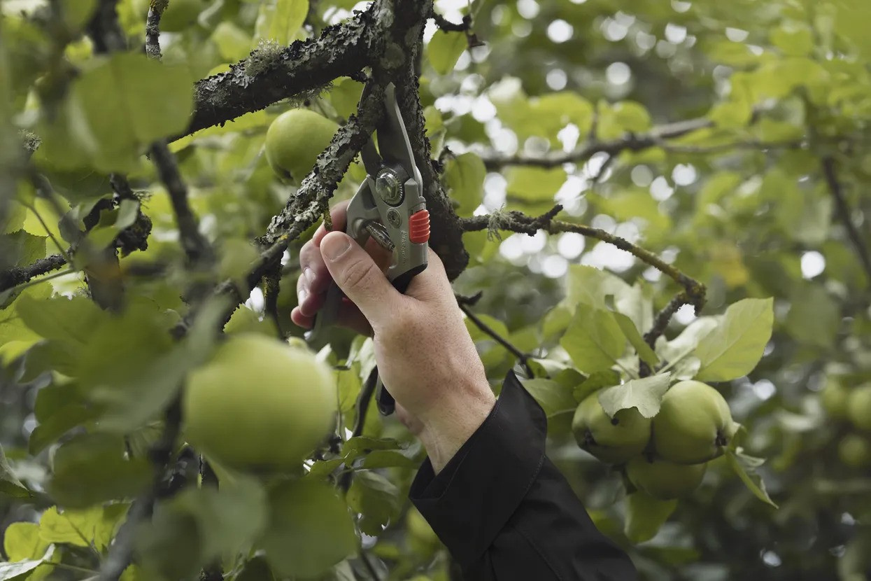 Husqvarna sekatør Large