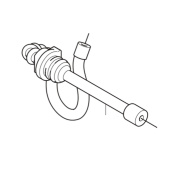 Olieslange, sugekop Olieslange, sugekop