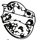 Kontaktkasse Nedre (Euro 5746268-01 Kontaktkasse Nedre (Euro 5746268-01