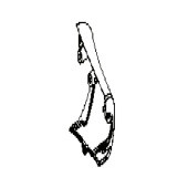 Kegle 5748107-02 Kegle 5748107-02