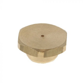 Brystvorte Brystvorte