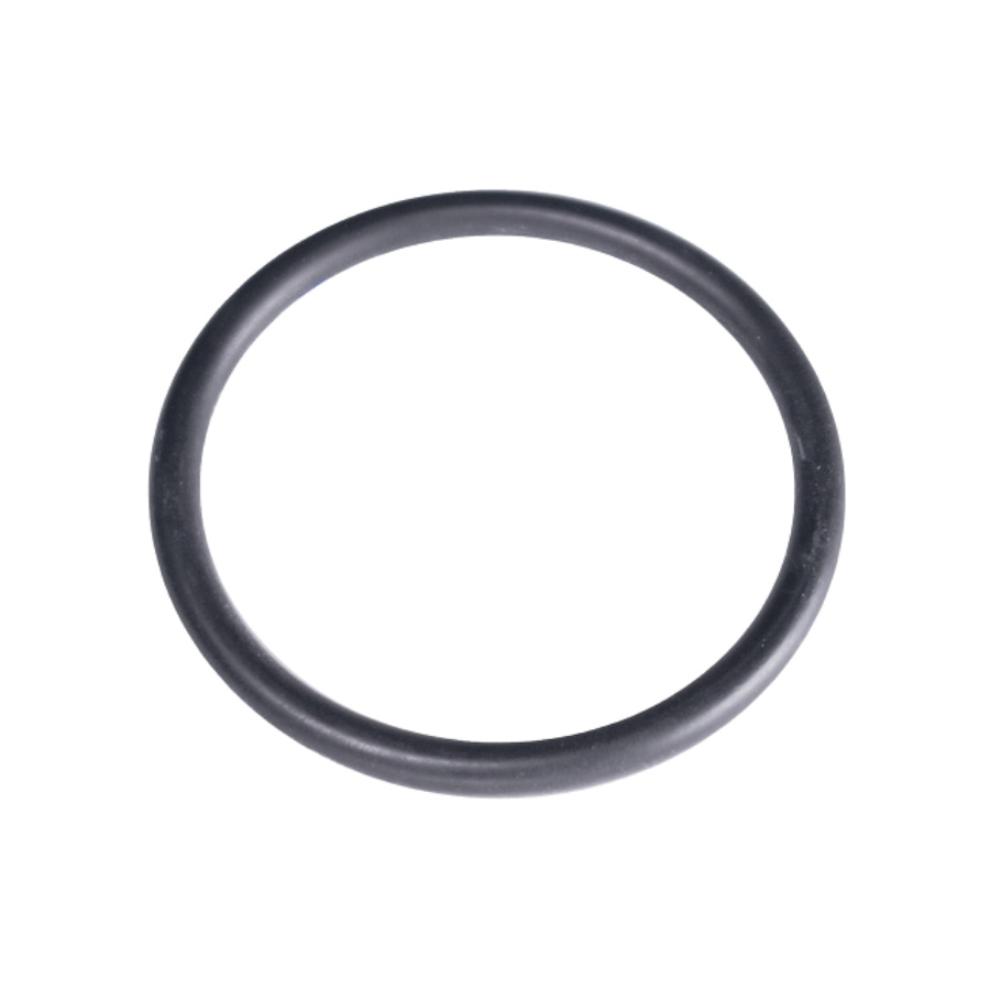O Ring 5784703-01