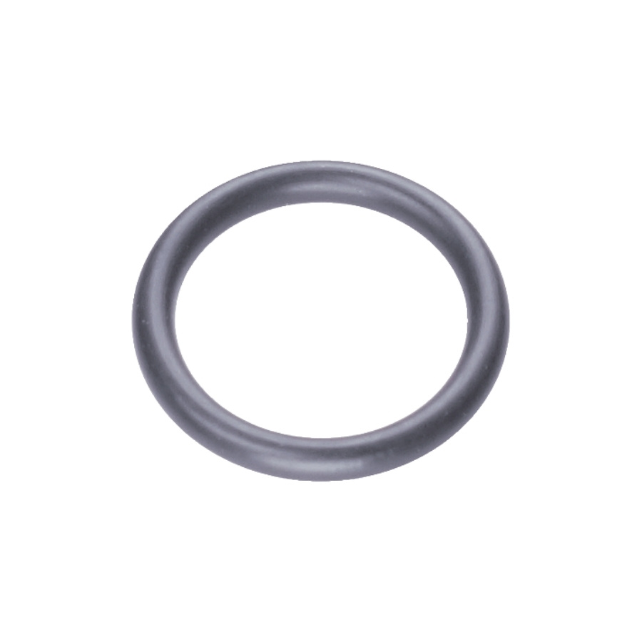O Ring 5787605-01