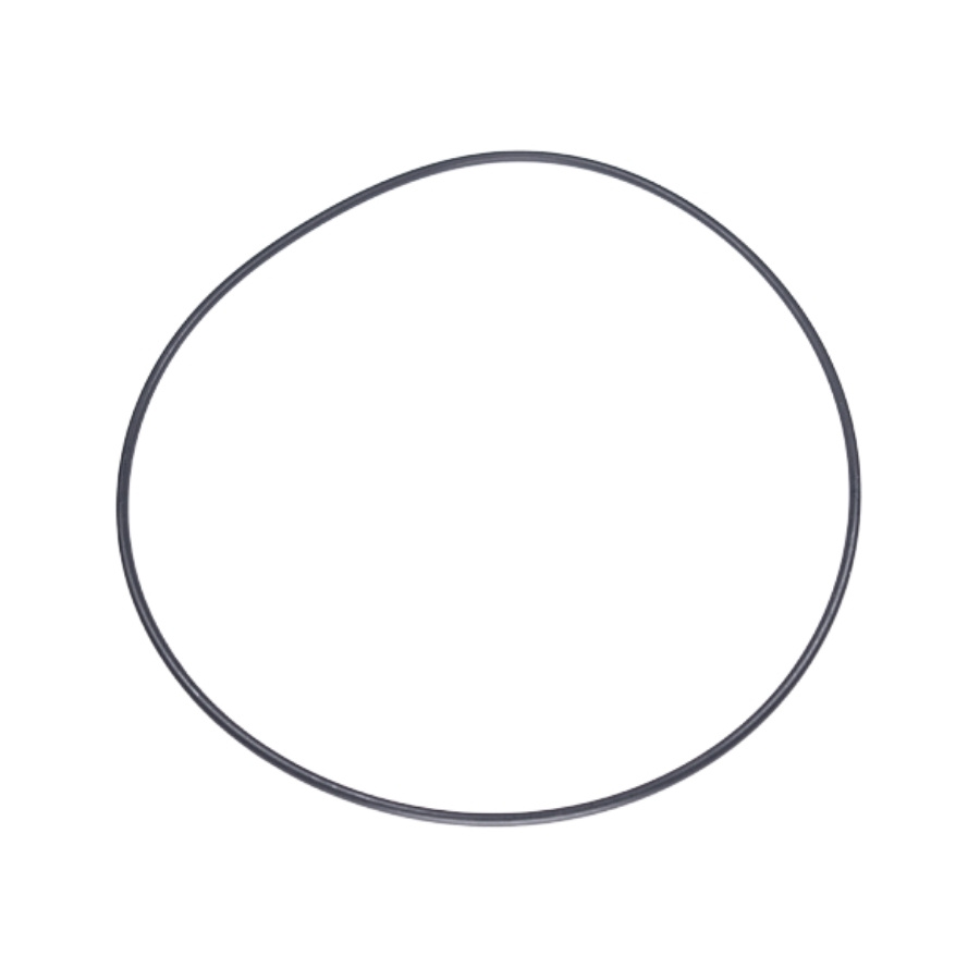 O Ring 5787625-01