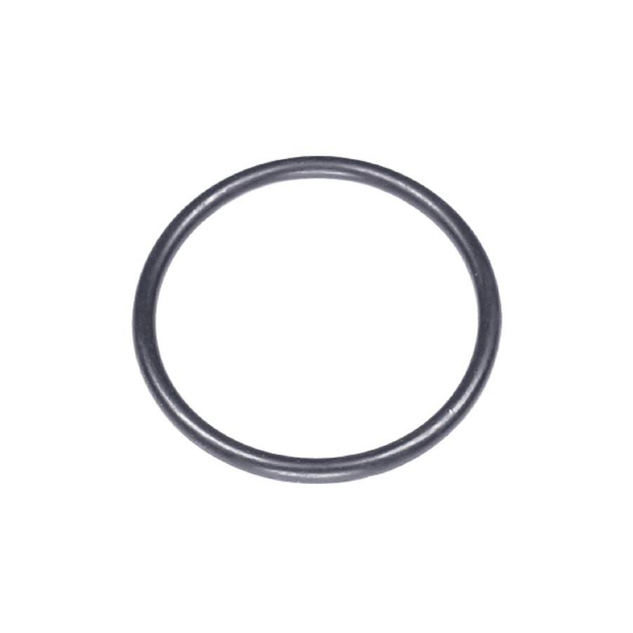 O Ring 5787649-01