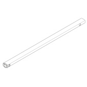 Rigrør, Lille Rigrør, Lille