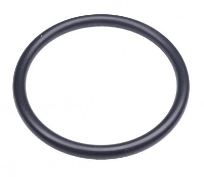 O-Ring 295X27 5885642-01