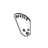 Plade 46 / 51 Cm Ms431 5893528-02 Plade 46 / 51 Cm Ms431 5893528-02