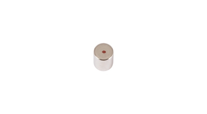 Neodymmagnet L=10