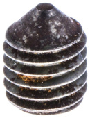 Skrue S6Ss 8X10 Skrue S6Ss 8X10