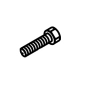 Bolt Bolt