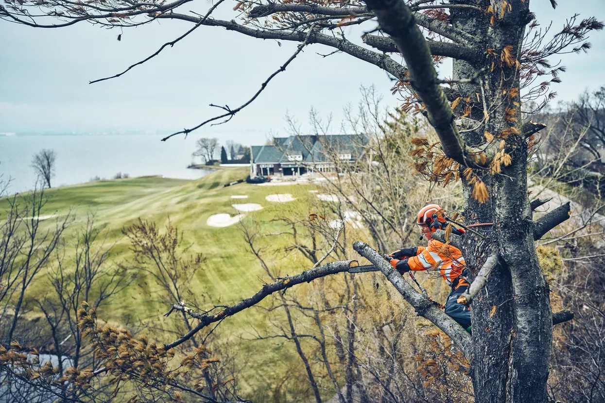 Husqvarna T542i XP® batteridrevet motorsav til træplejere