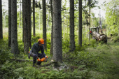 Husqvarna 450X Motorsav Husqvarna 450X Motorsav