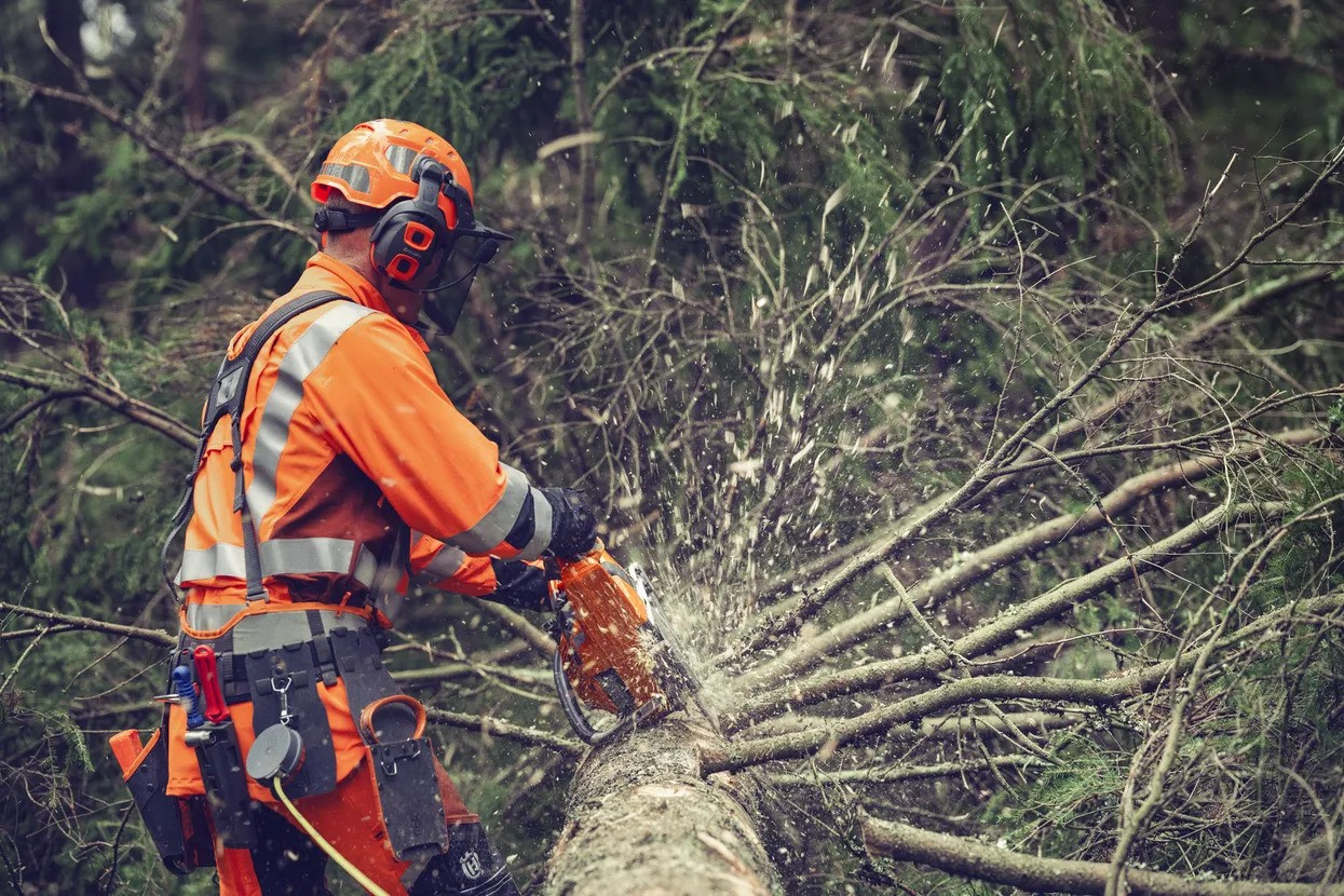 Husqvarna 564 XP G Fuel Inject startpakke