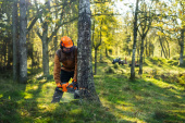 Husqvarna 440i batteridrevet motorsav med batteri og oplader Husqvarna 440i batteridrevet motorsav med batteri og oplader